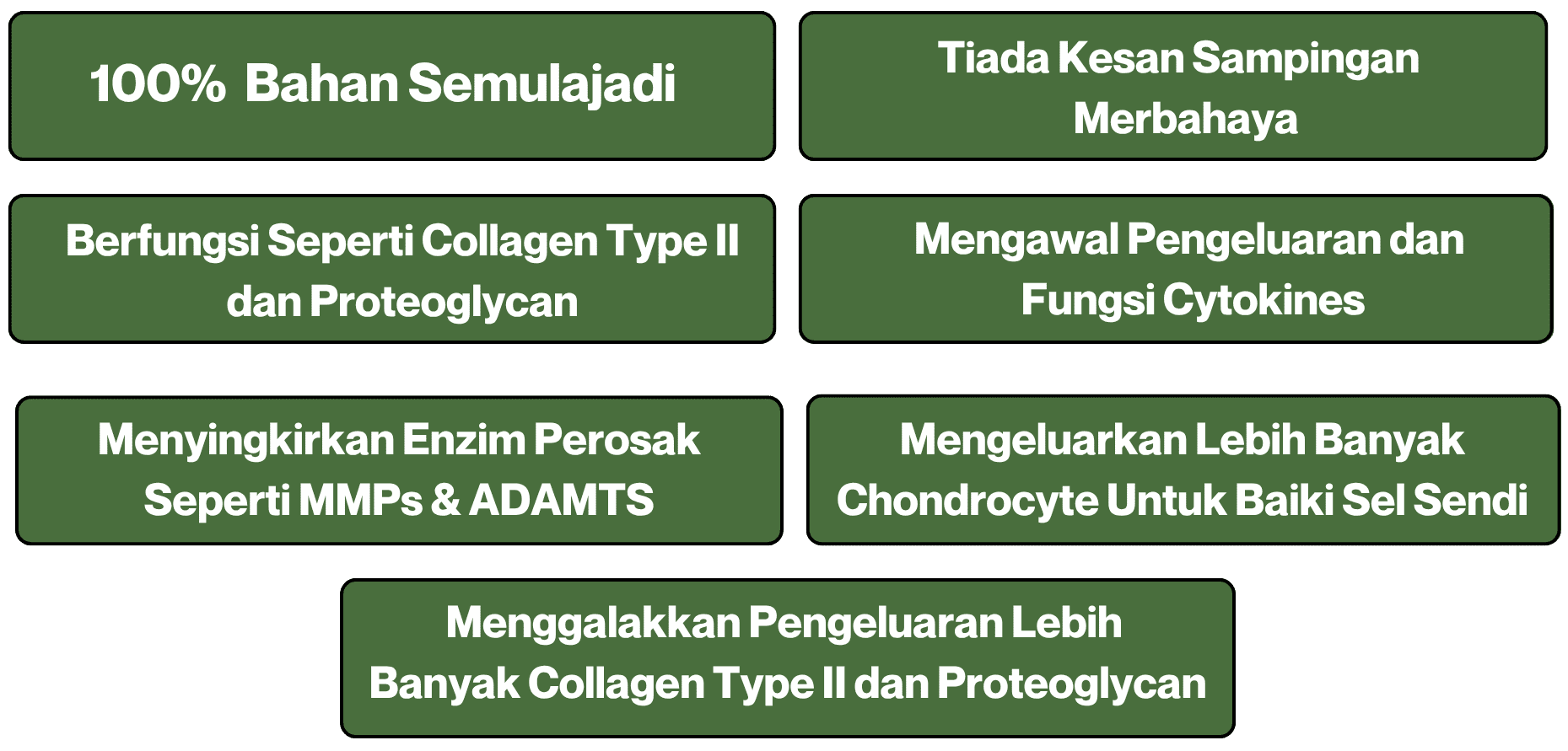 Biovytal-JointActiv-Osteorthritis-Kebaikkan.png