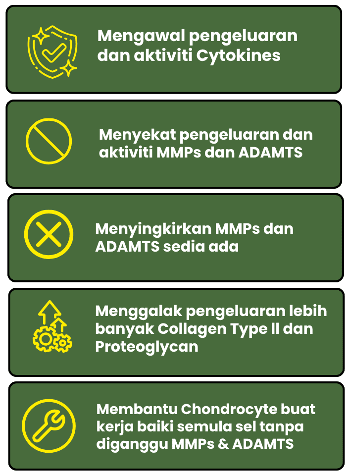 Biovytal-JointActiv-Osteorthritis-Perbezaan-1.png